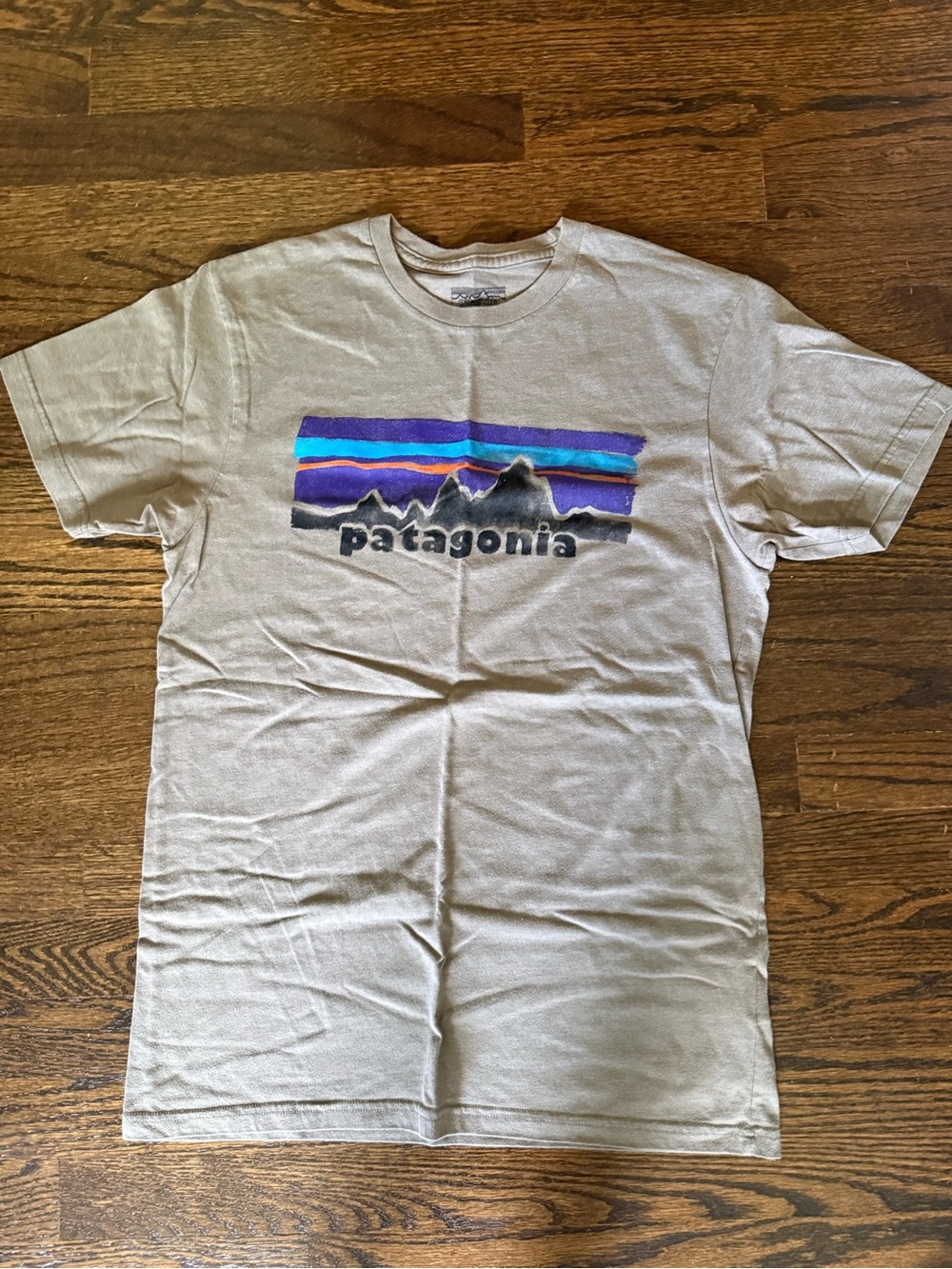 Patagonia Grey Short-Sleeve Logo Tee with Purple & Teal Stripe Graphic
